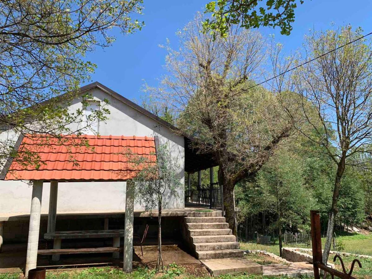 Bandici House Apartment Podgorica Exterior photo